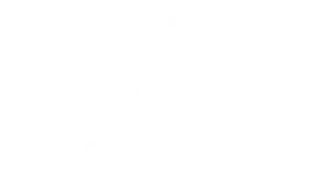 footer-logo